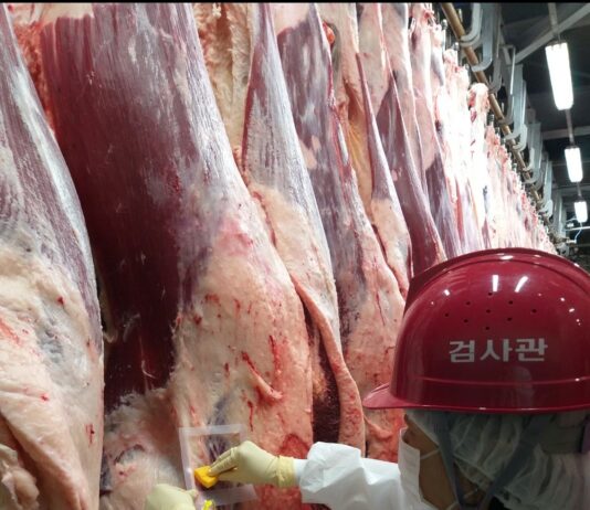 축산물 공급 늘어나는 설 앞두고, 도축·위생관리 강화