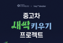 도로교통공단 X 헤이딜러, 무사고 새싹 프로젝트 시작