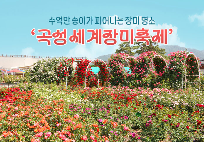 곡성세계장미축제
