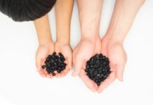 건강한 모발을 위한 5가지 생활 습관 two hands holding a handful of black beans