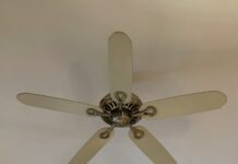 여름철 건강 지키는 5가지 실천법 white 5 blade ceiling fan