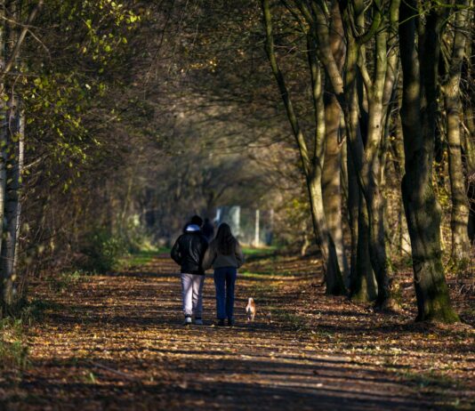 ‘마이크로걷기’가 뜬다… 바쁜 일상 속 간편 운동법 주목 Two people walking down a path in the woods