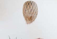 “근육, 건강한 일상 지키는 핵심 자산… 일상 속 실천법 주목” woman in pink one piece swimsuit kneeling on floor