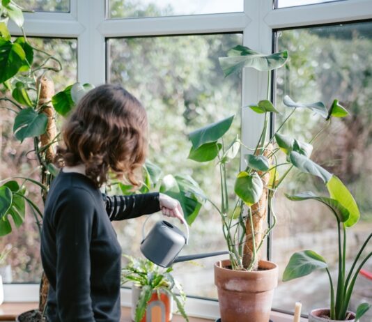‘슬기로운 직장인 건강관리’…소소한 변화가 만드는 활기찬 하루 a woman watering plants in a window sill